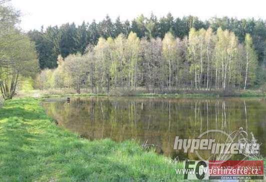 Funkční sestava 2 rybníků pod lesem - foto 1