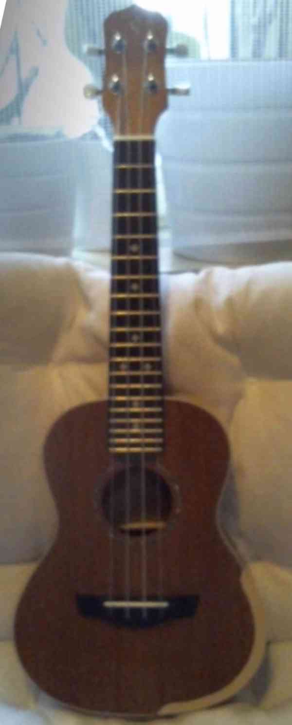 Hra na ukulele - foto 1