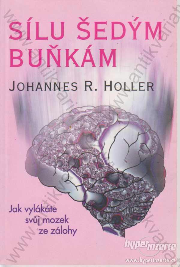 Sílu šedým buňkám Johannes R. Holler 1996 - foto 1