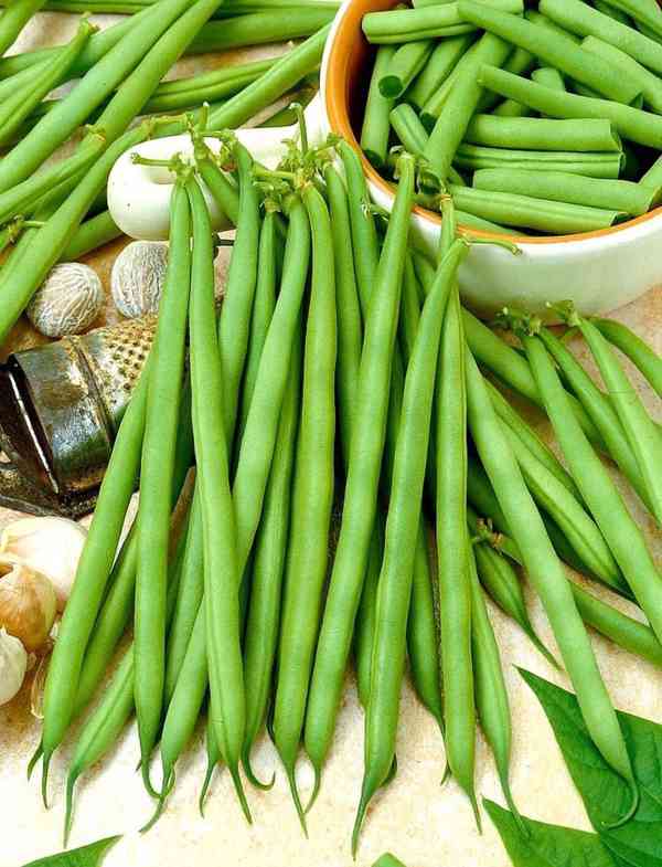 Fazol keříčkový Delfina na lusky - semena