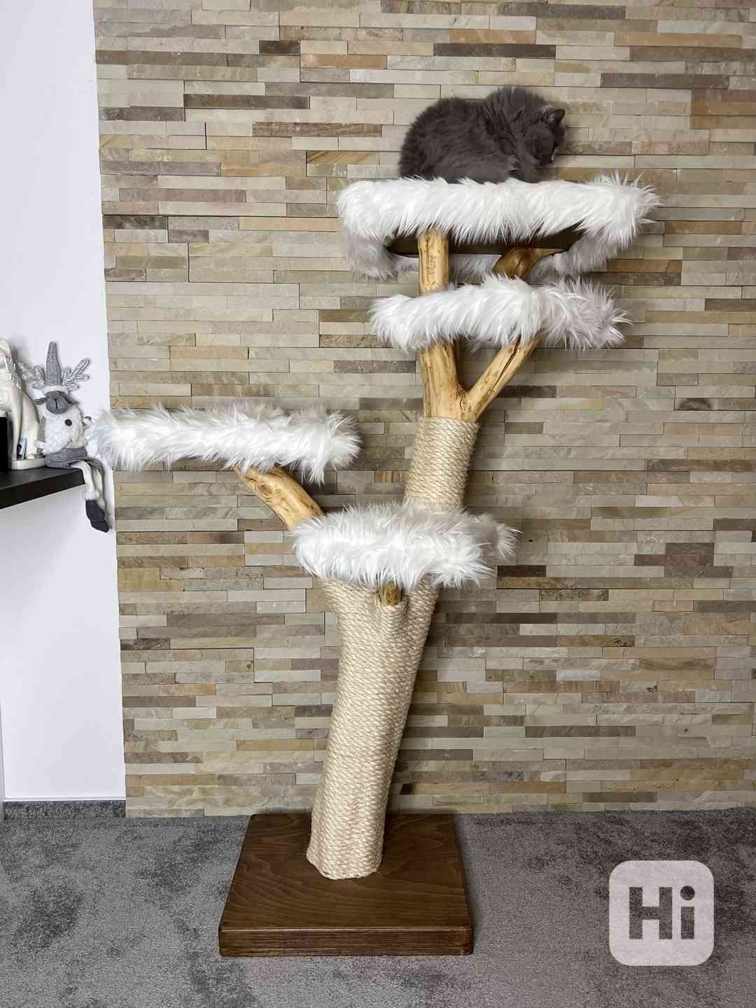 Škrabadla pro kočky  - foto 1