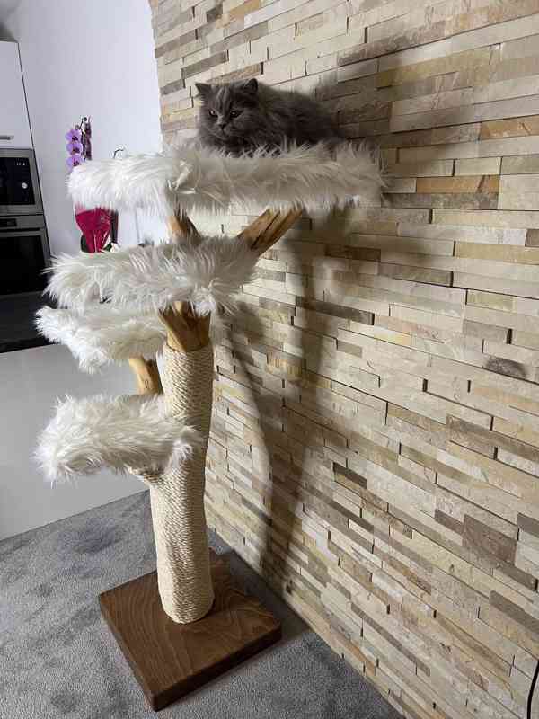 Škrabadla pro kočky  - foto 3