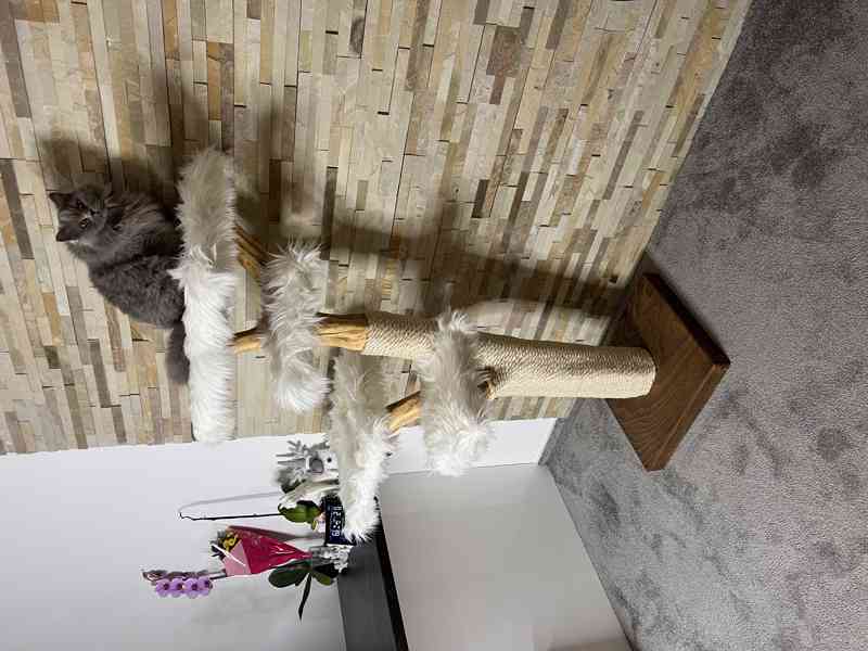 Škrabadla pro kočky  - foto 2