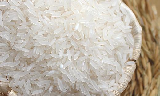 Vietnamská rýže  50kg pytle - foto 3