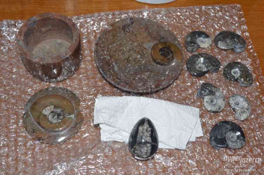 Zkameněliny a minerály (Orthoceras, Goniatit) - foto 4