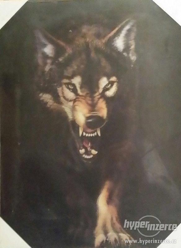 3d obraz vlk v tmavém pozadí 34/48 - foto 1