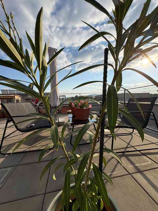 Bratislava - Moderný 3 izbový byt s terasou v novostavbe - foto 8