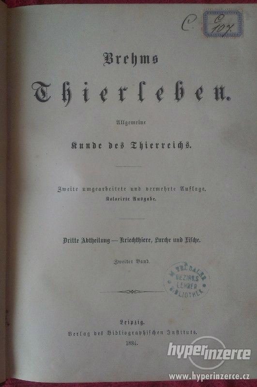 Starožitná kniha "BREHMS THIERLEBEN-FISCHE" - foto 2
