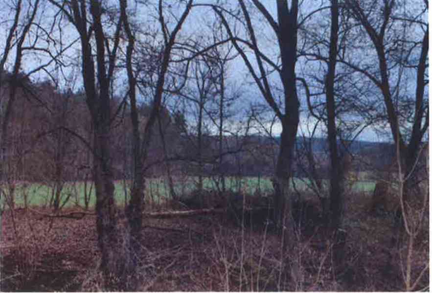 Prodej pozemků v k. ú. Újezdec u Luhačovic - foto 9