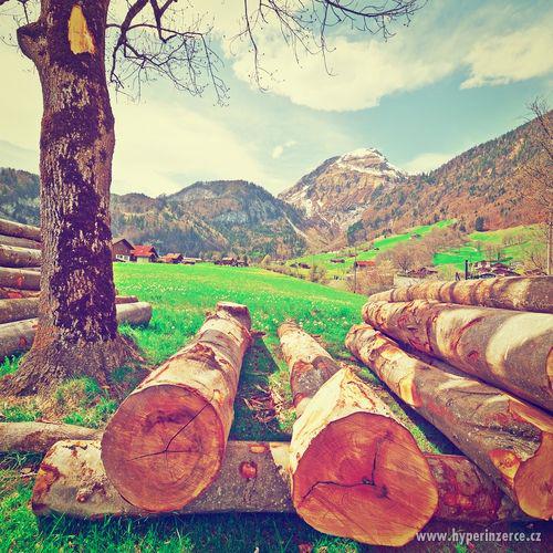 Palivové dřevo nejlevnější Opava ,Bruntál - foto 1