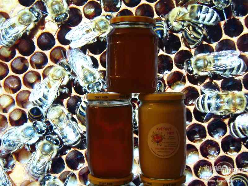 Med přímo od včelaře - foto 1
