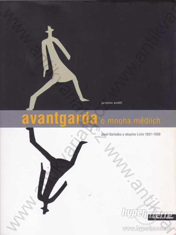 Avantgarda o mnoha médiích Jaroslav Anděl 2004 - foto 1