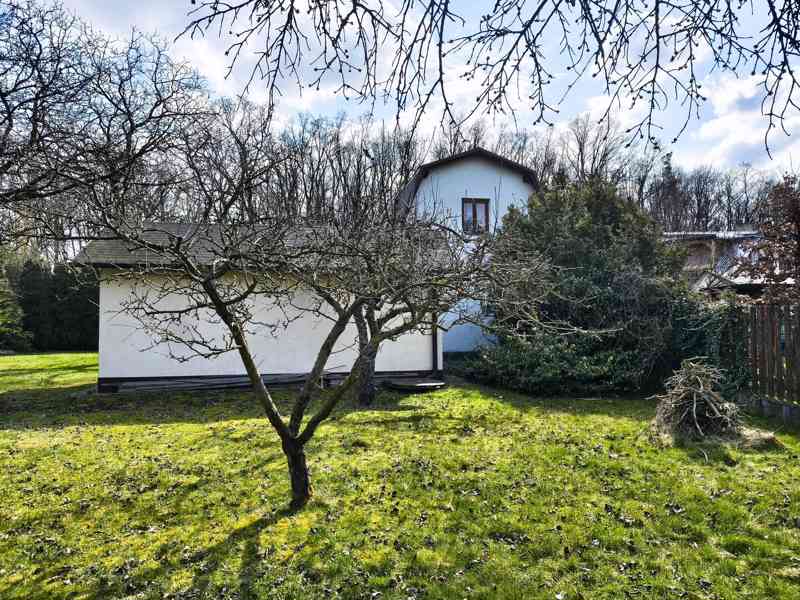 Nový Ples - Prodej rodinného domu 3+1 s pozemkem 1 288 m2 - foto 5