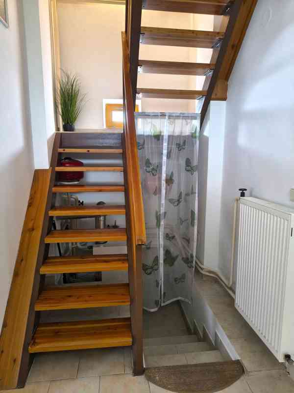 Nový Ples - Prodej rodinného domu 3+1 s pozemkem 1 288 m2 - foto 15