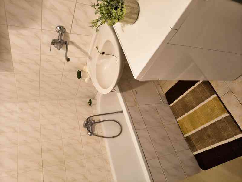 Nový Ples - Prodej rodinného domu 3+1 s pozemkem 1 288 m2 - foto 10