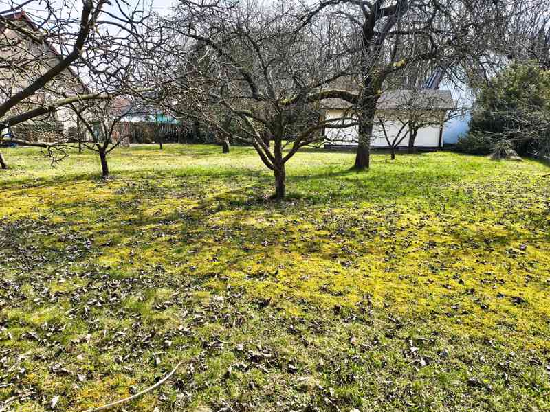 Nový Ples - Prodej rodinného domu 3+1 s pozemkem 1 288 m2 - foto 4