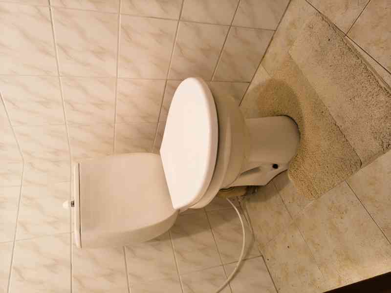 Nový Ples - Prodej rodinného domu 3+1 s pozemkem 1 288 m2 - foto 11