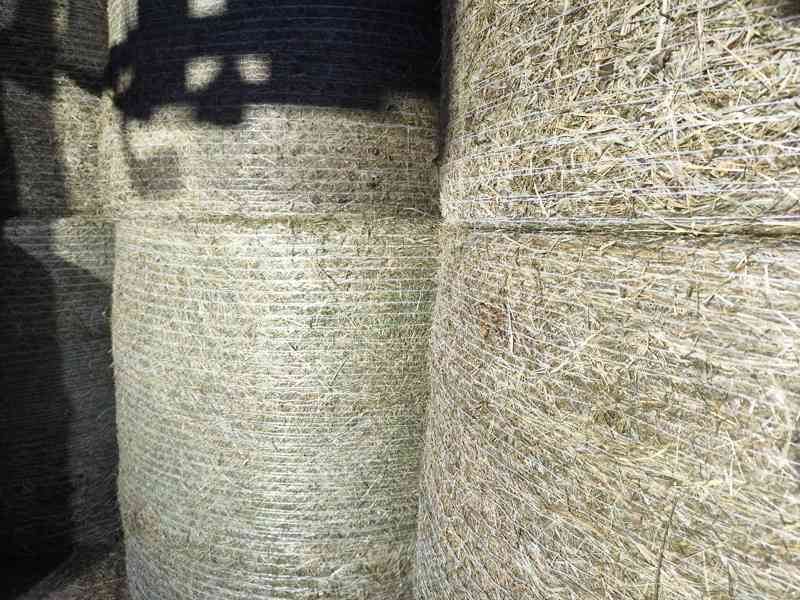 Certifikované poctivé bio seno ze skladovací haly s dopravou - foto 2