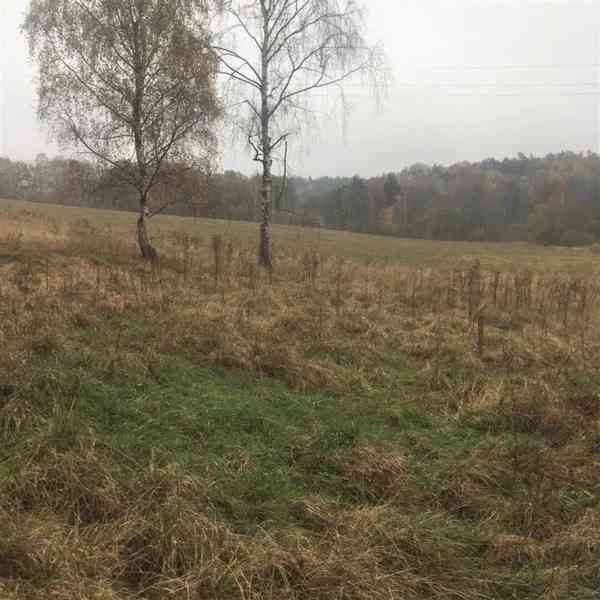 Prodej ostatní pozemky, 5 142 m² - Cvikov - Lindava - foto 6