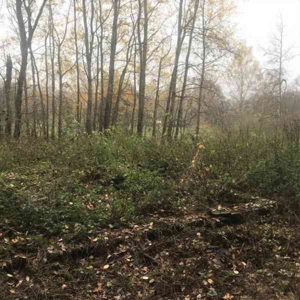 Prodej ostatní pozemky, 5 142 m² - Cvikov - Lindava - foto 2