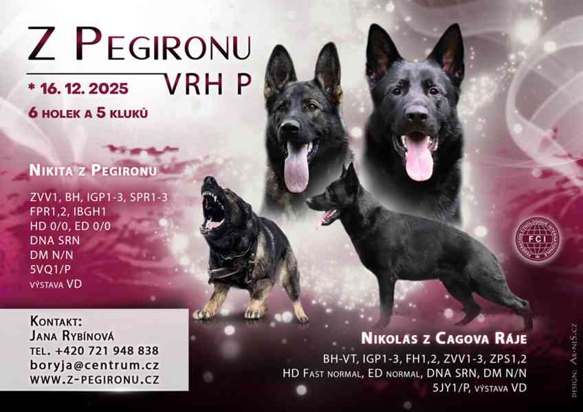  Německý ovčák štěňata  - foto 1