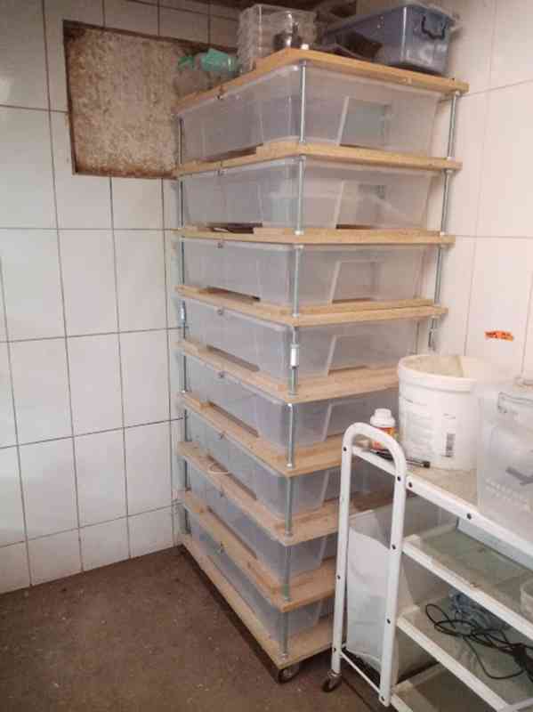 Chovatelské terarijní zařízení - foto 4