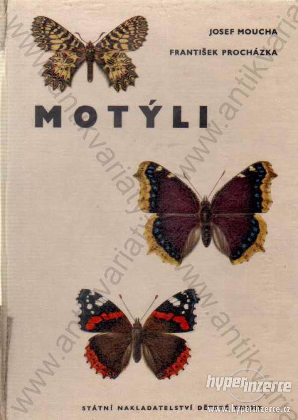 Motýli Josef Moucha 1962 - foto 1