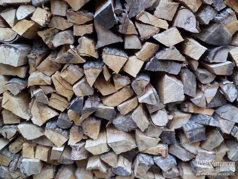 Palivové Dřevo (štípané) , okres Litoměřice - foto 1