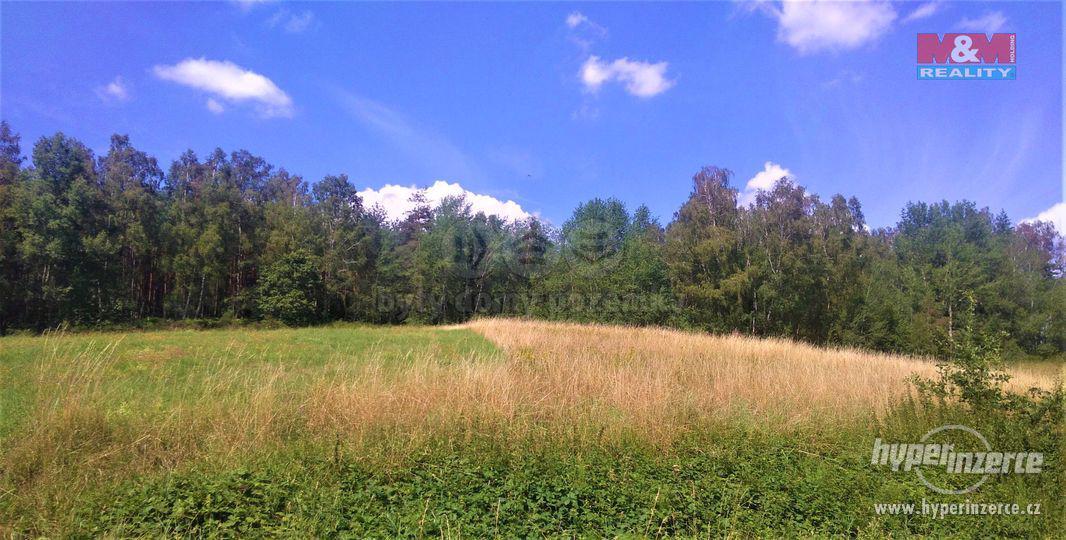Prodej pozemku k bydlení, 7140 m?, Cvikov - foto 3