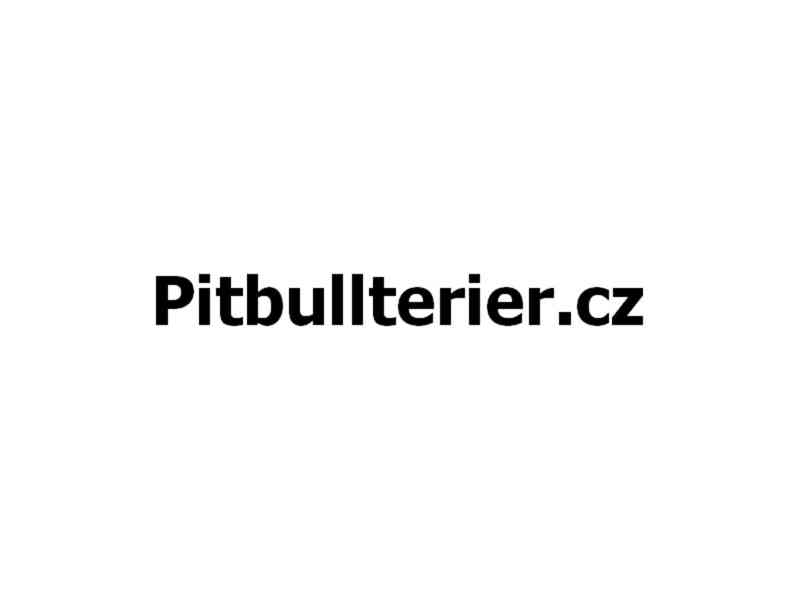Pitbullterier.cz