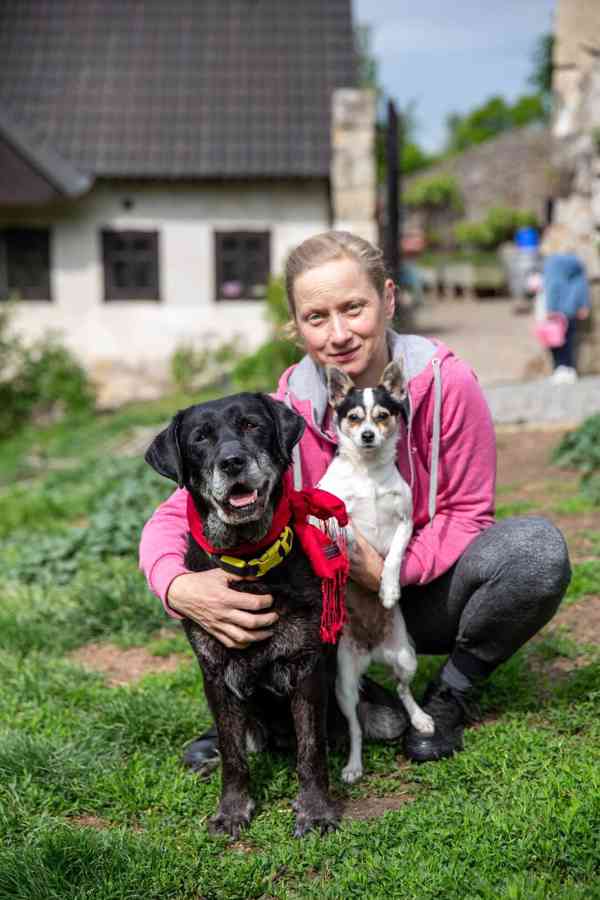 ANDULKA - 25 kg, kastrovaná fenečka 10 let  - foto 2
