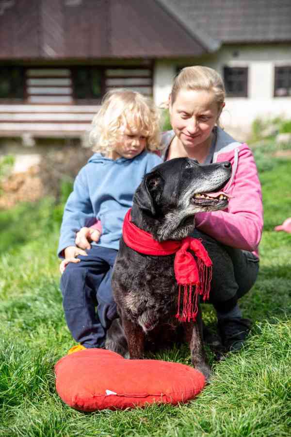 ANDULKA - 25 kg, kastrovaná fenečka 10 let  - foto 4