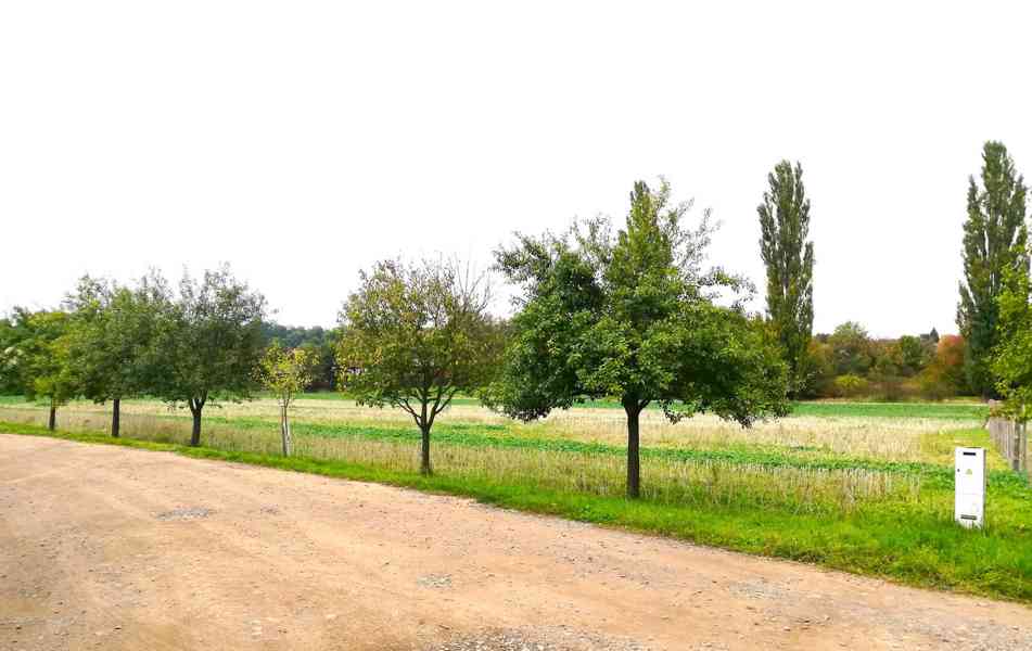 Rakovnicko - Kolešovice - stavební pozemky 985 m2 a 986 m2 - foto 5
