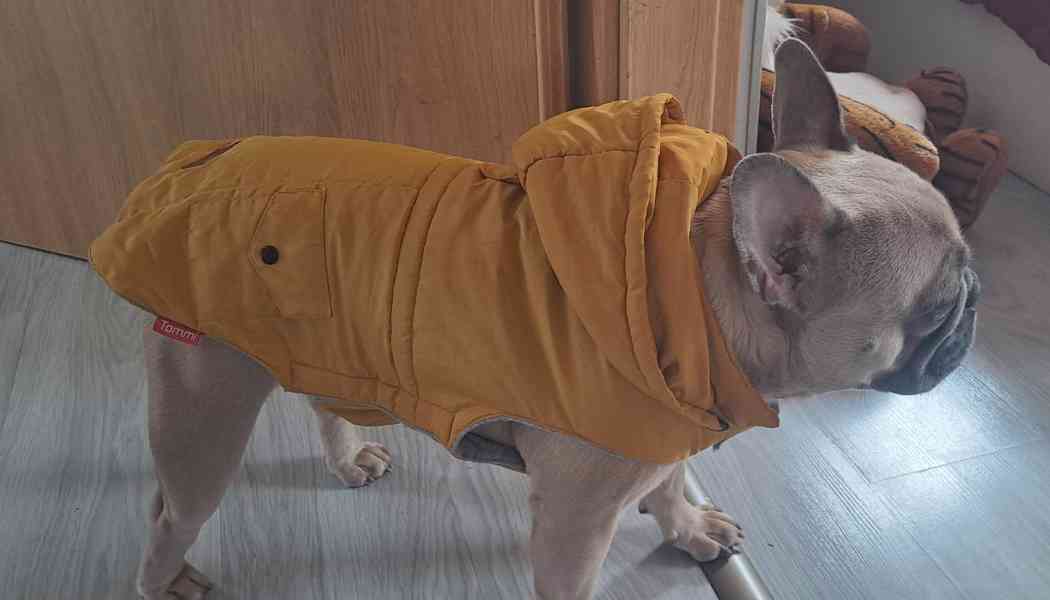 Psí  bunda Doggies Fashion Žlutá  s kapucí   - foto 3