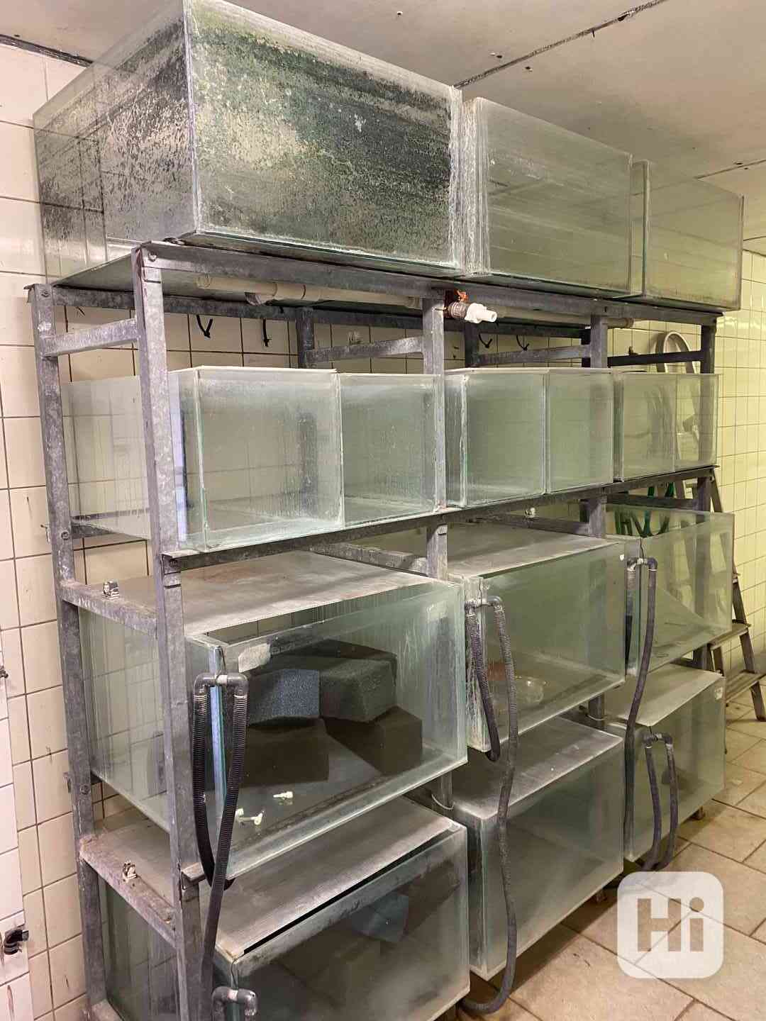 Prodám akvária se stojany. - foto 1