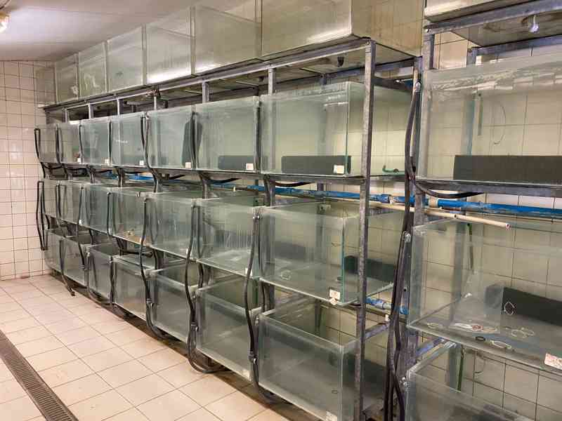 Prodám akvária se stojany. - foto 2