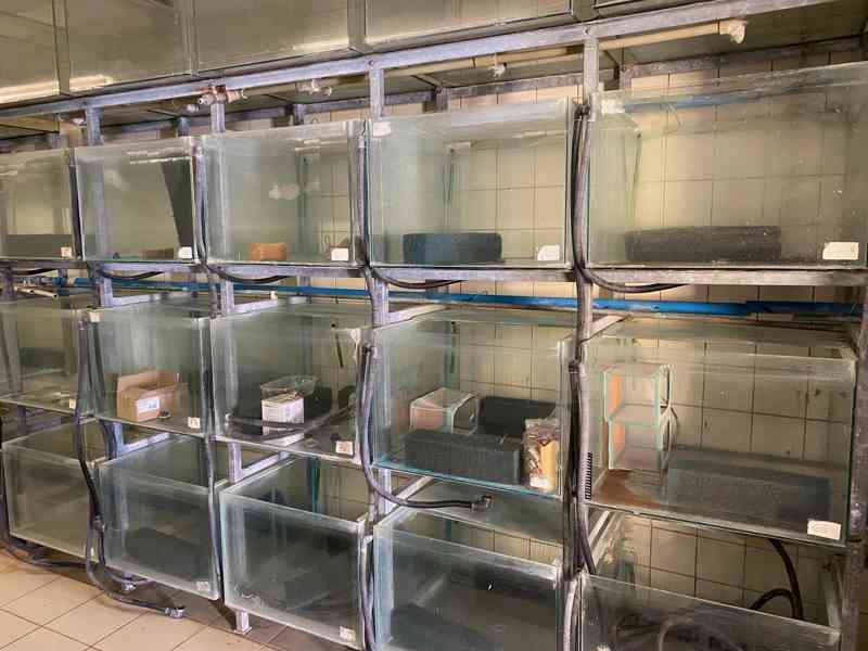 Prodám akvária se stojany. - foto 3