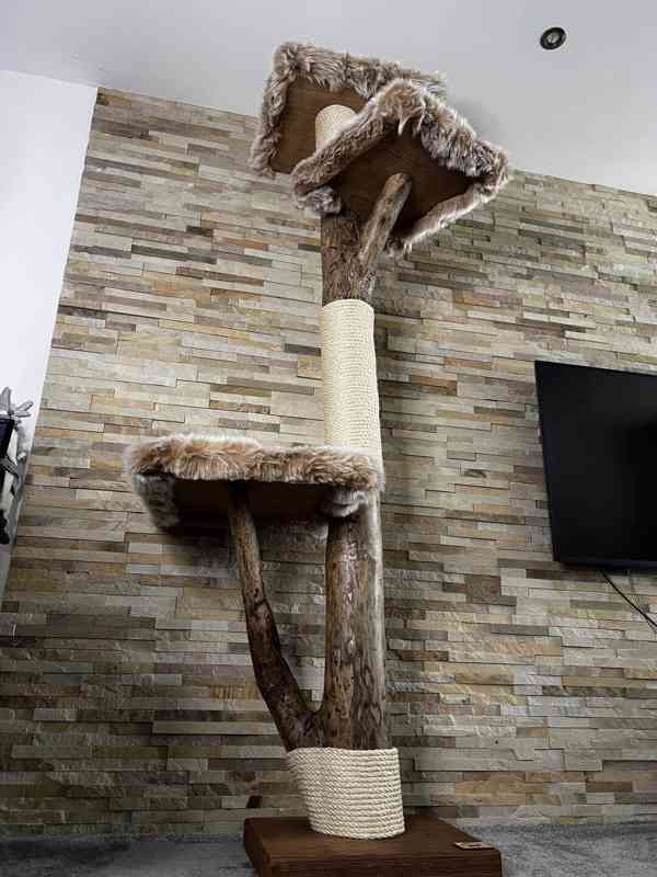 Kočičí strom  - foto 2