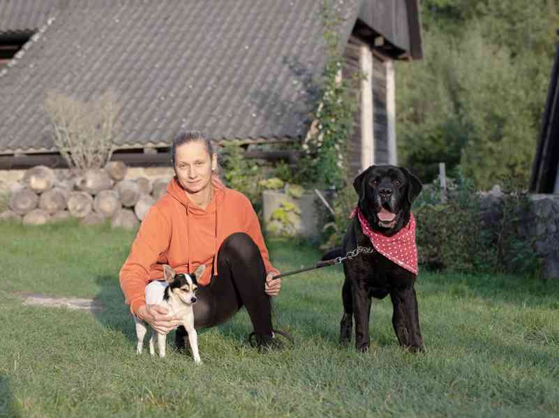 APOLLO - 36 kg, kastrovaný psík 10 let - foto 6