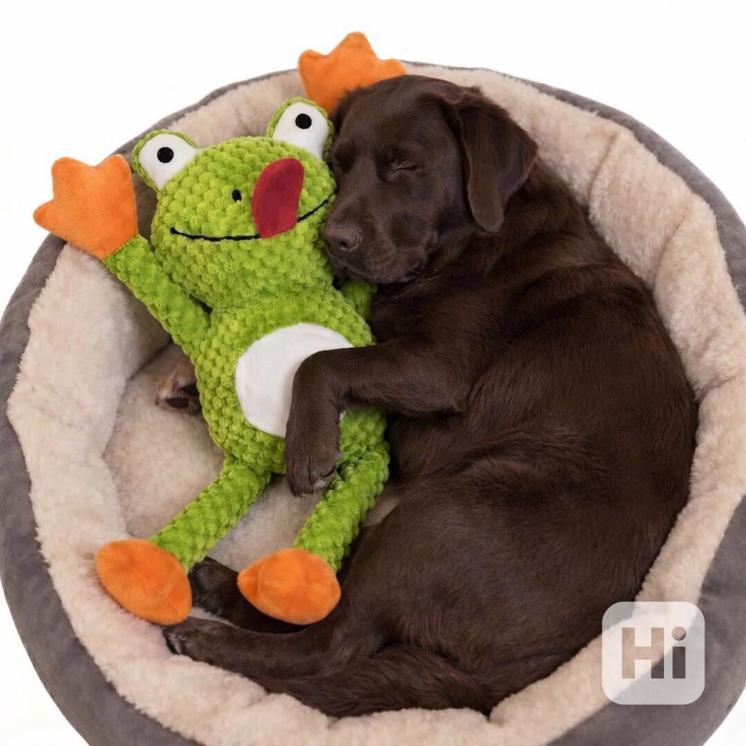 Labradorský retrívr na prodej - foto 1