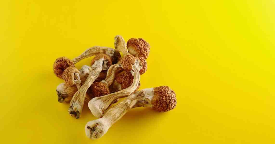 PURCHASE MAGIC MUSHROOMS ONLINE FAST DELIVERY