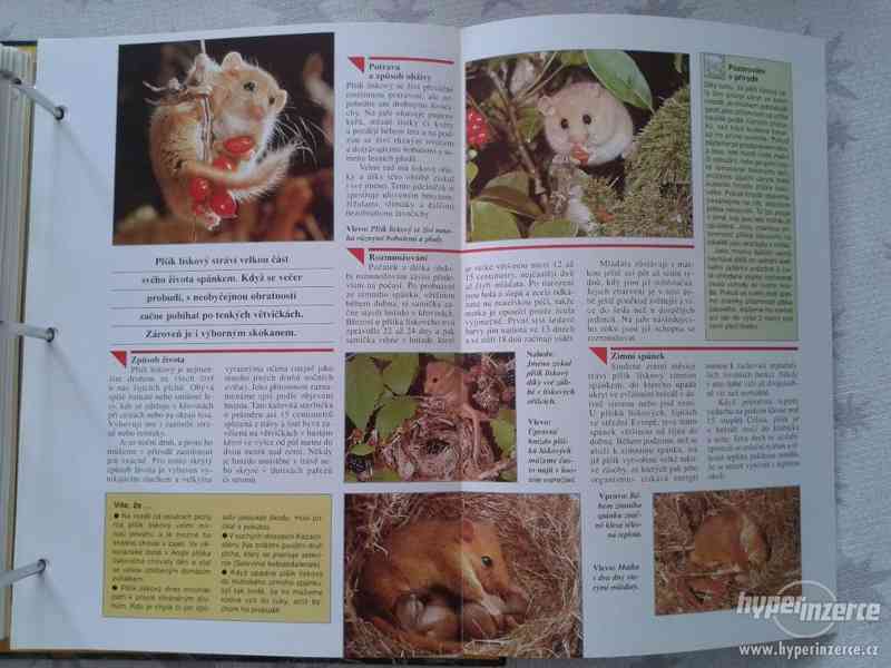 Encyklopedie zvířat - foto 4