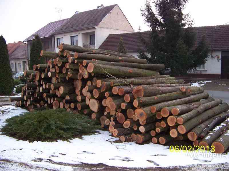 Štípání,řezání dřeva-zpracování dřeva na palivo! U vás doma! - foto 3