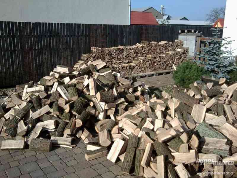 Štípání,řezání dřeva-zpracování dřeva na palivo! U vás doma! - foto 7