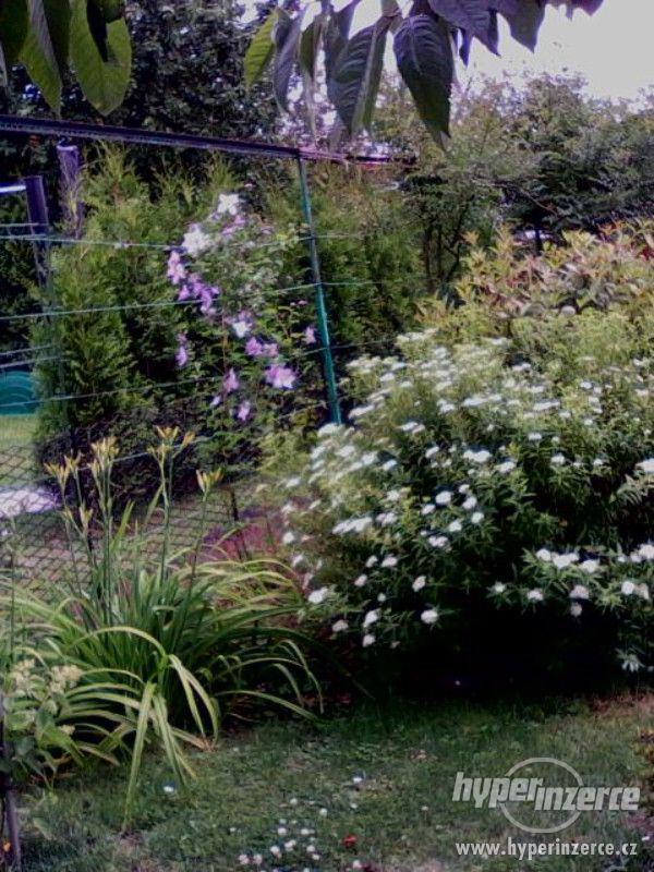 Zahrada s chatou - foto 5