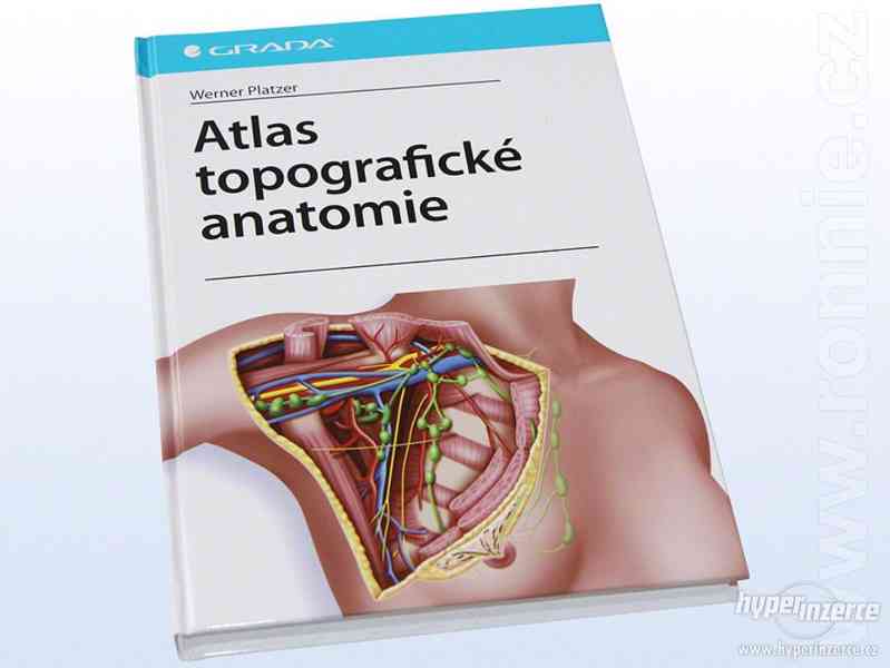 Werner Platzer - Atlas topografické anatomie - foto 1