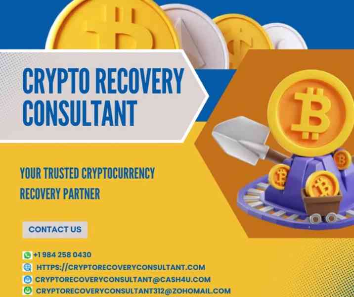 LOST USDT? CRYPTO RECOVERY CONSULTANT CAN HELP! - foto 3