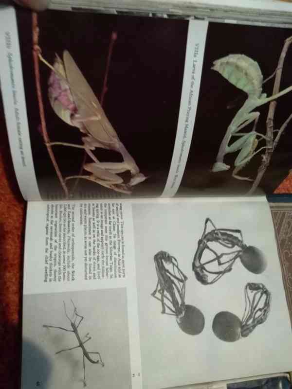 Knihy mix - foto 27