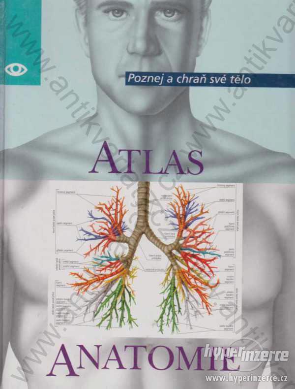 Atlas anatomie - foto 1