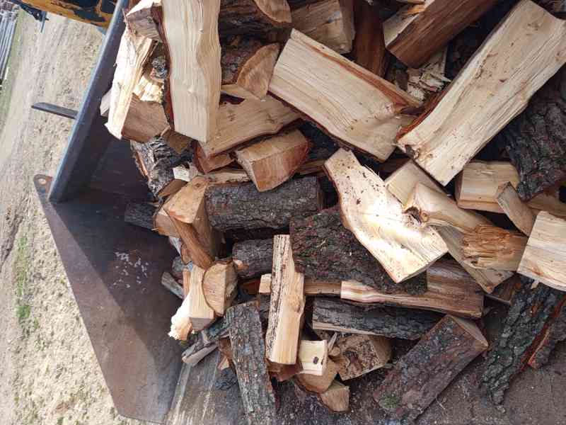 Palivové dřevo  - foto 2